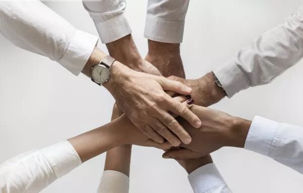 Nos valeurs : informer, conseiller, développer, créer